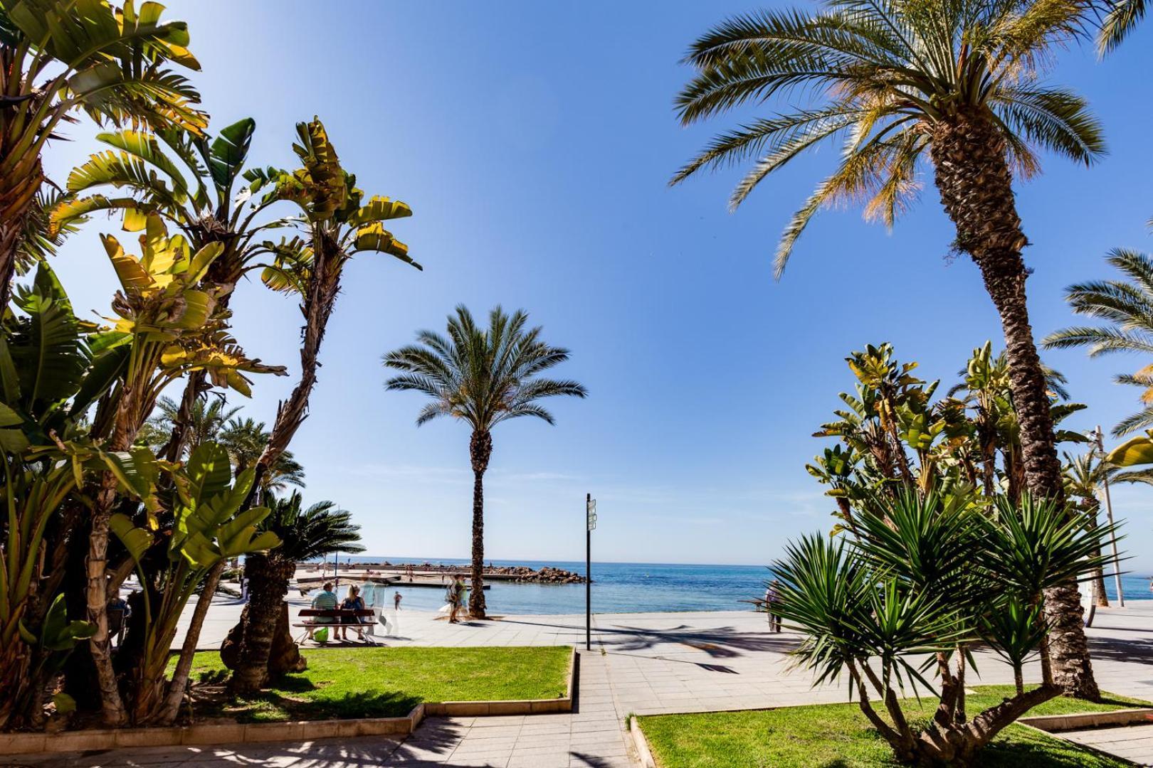 Apartamento Concordia Apartment Torrevieja Exterior foto